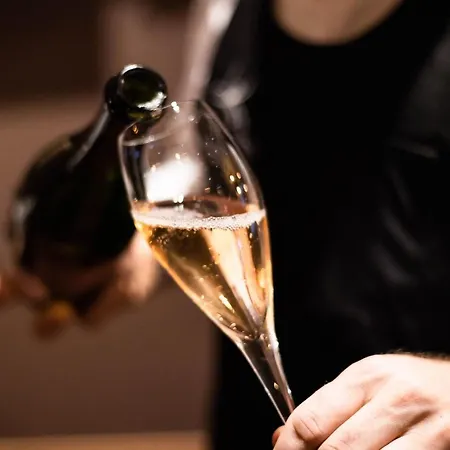 מלון Kunst Krško